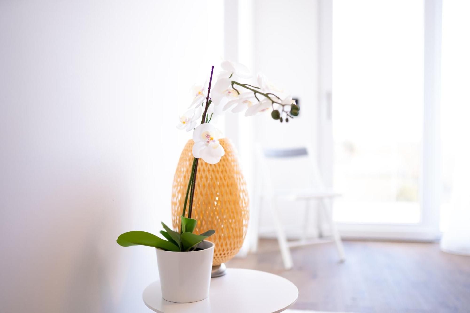 Appartamento Premium Design With Balcony & Free Parking Vienna