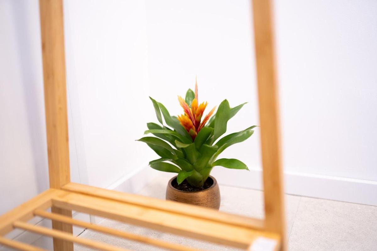 Appartamento Premium Design With Balcony & Free Parking Vienna